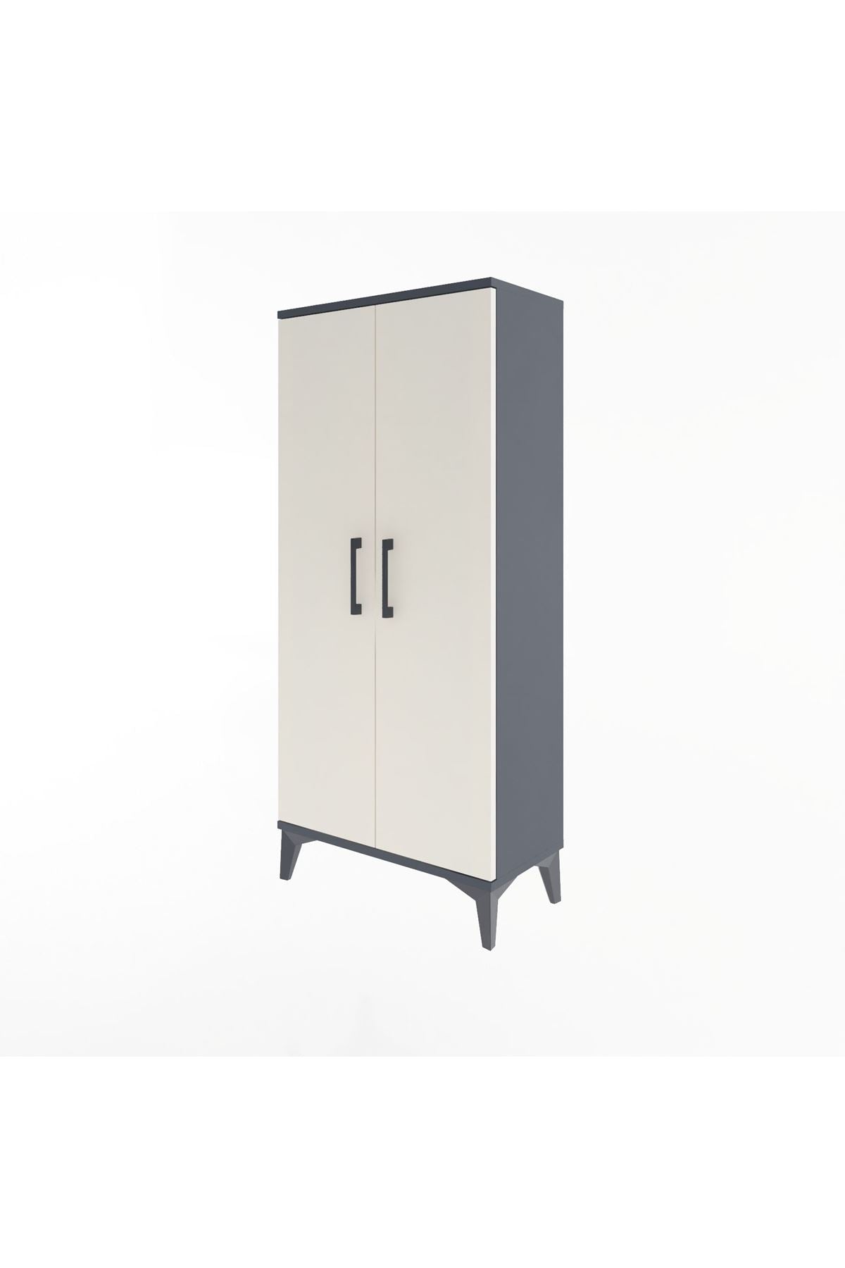 Arges Dolap 2 Raflı 2 Kapaklı 60x30x134 - S17M067V4A