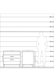 Kronos Şifonyer Tek Raflı 2 Çekmeceli 88x59x80 - S69M006V2C